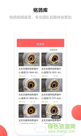 搜鴿查成績手機(jī)版 v1.0 安卓版 0