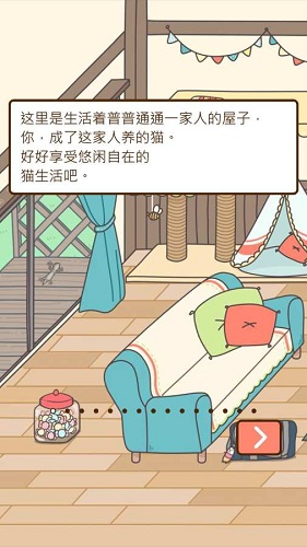 貓咪飼養(yǎng)日常漢化版