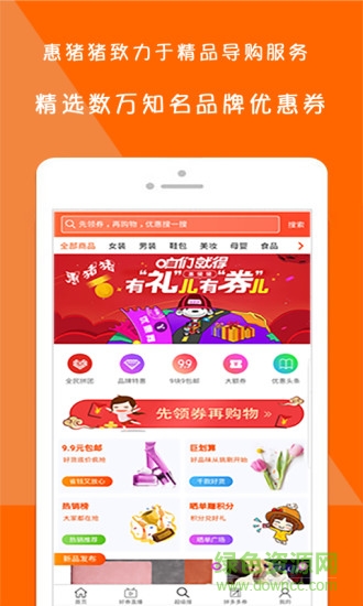 惠豬豬