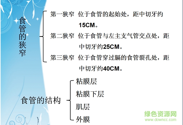 食管癌的護(hù)理查房ppt