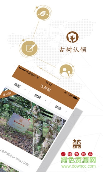 一棵古樹茶 v2.2.1 安卓版 0
