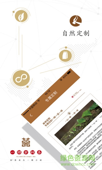 一棵古樹茶app 一棵古樹茶app