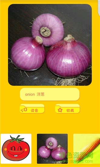 熊二學(xué)英語(yǔ) v1.1 安卓版 3