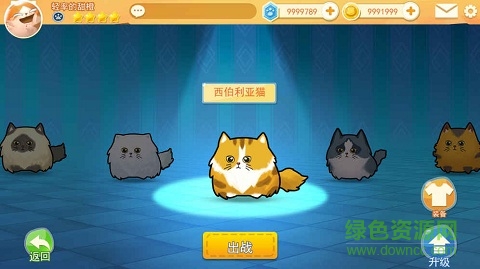 貓咪碰碰球手游 v0.7.0.0 安卓版 0