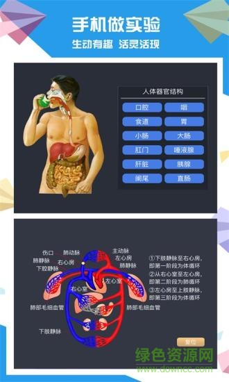 土豆初中生物