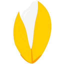 城市農(nóng)源