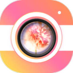 PIP CAM