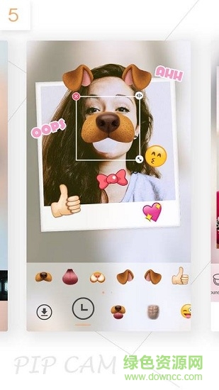 PIP CAM v1.6.3 安卓版 0