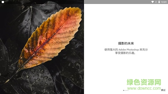 lightroom蘋果手機版0