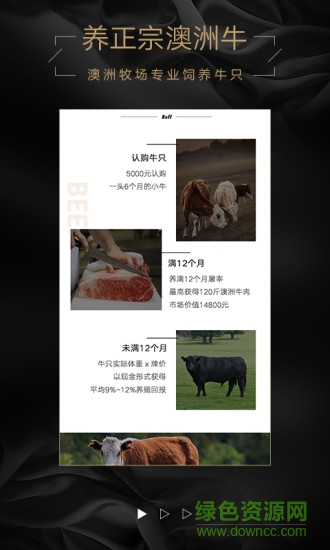 口袋牧場(chǎng) v1.2.2 安卓版 0