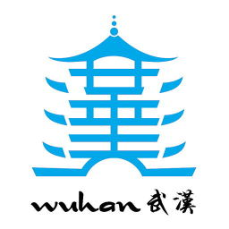 武漢醫(yī)生