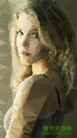 photo low poly filter手機(jī)版