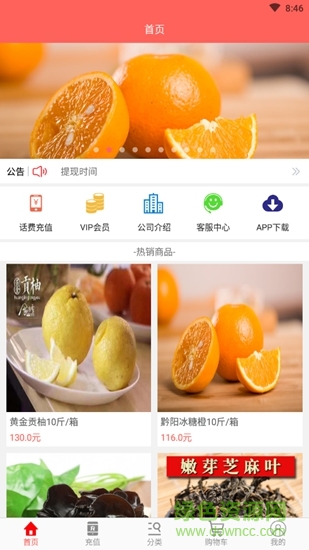 金稻商城app