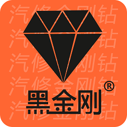 金奔騰黑金剛C汽車診斷