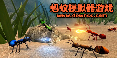 螞蟻模擬器修改版游戲大全-螞蟻模擬器修改版中文版下載-螞蟻模擬器中文版