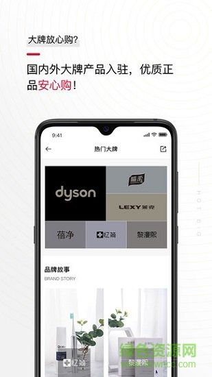 蘇州綠葉花貓?jiān)粕?