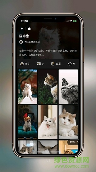 紙?zhí)帘诩堒浖?