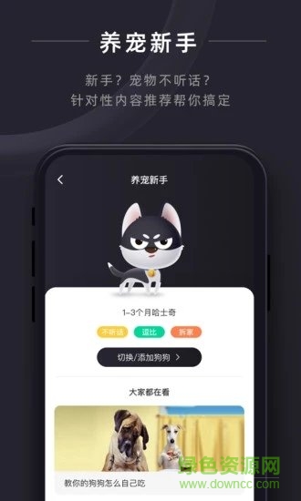 悠寵免費(fèi)下載
