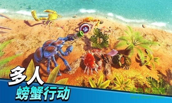 猛蟹之王官方最高正版(King of Crabs) v1.0.8 安卓最新版 1