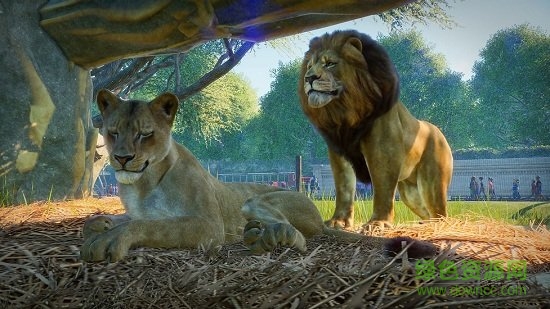 動物園之星無限金幣手機版 v1.0 安卓無限金錢版 0