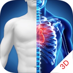 3d人體解剖圖譜最新版