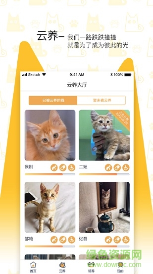 我要貓(流浪貓救助) v1.0.1 安卓版 2