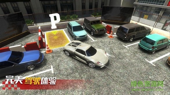 真實(shí)停車高手免費(fèi)下載