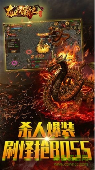 龍戰(zhàn)霸主盛大版 v2.06 安卓版 1
