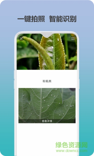 愛植保2