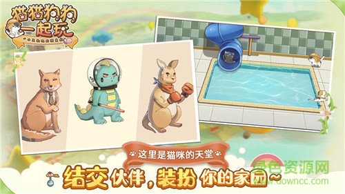 貓貓狗狗一起玩 貓貓狗狗一起玩游戲下載