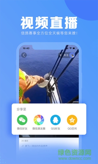 信鴿縱橫 v5.3.3 安卓版 0