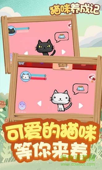 貓咪養(yǎng)成記游戲賺錢版 v1.0 安卓版 1