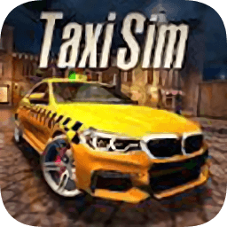 出租車公司2020中文版(Taxi Sim 2020)
