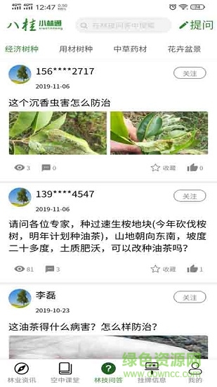 八桂小林通安卓版