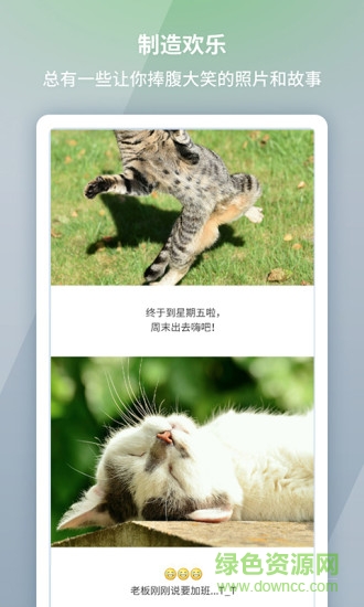 lonpic長截圖 v1.0 安卓版 3