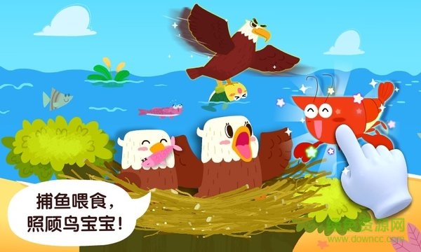 寶寶鳥類認(rèn)知 v9.63.00.01 安卓版 0