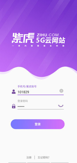 紫虎app下載