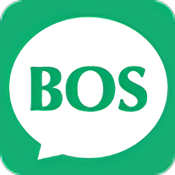 百麗云店通(百麗通bos)