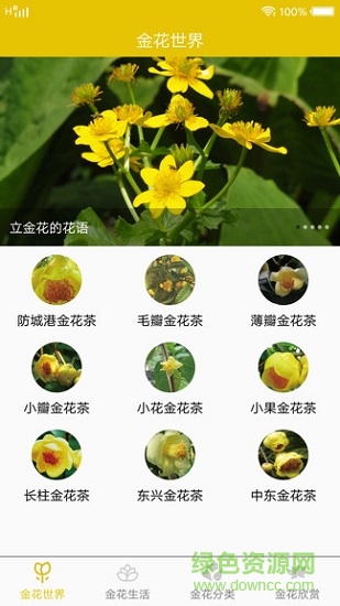 金花世界 v1.2 安卓版 0