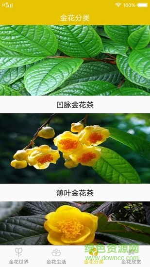 金花世界下載