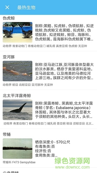 海洋奇跡 v1.1 安卓版 1