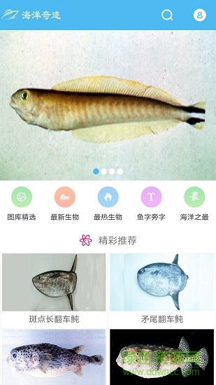 海洋奇跡 海洋奇跡app下載