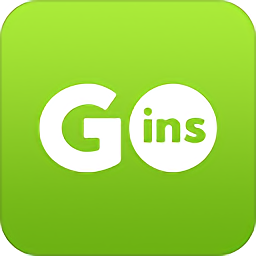 goins(新加坡美食)