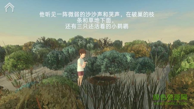 風暴男孩下載