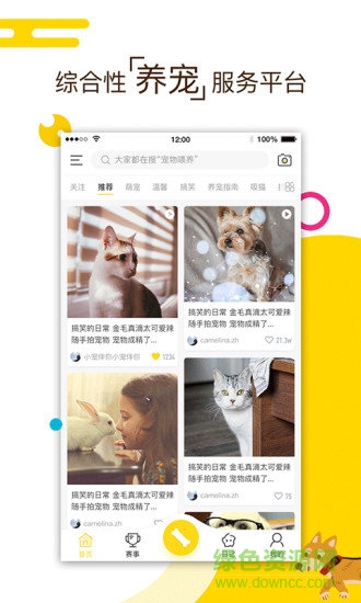 小寵伴你安卓版下載