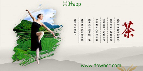 茶葉app