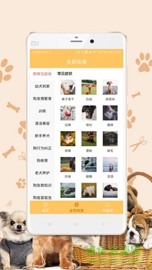 哎寵0
