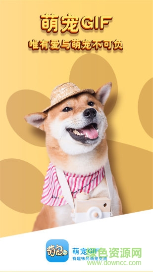 萌寵gif v1.0.15 安卓版 0
