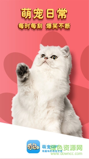 萌寵gif手機版