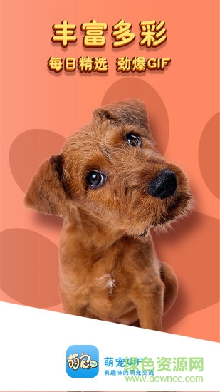 萌寵gif v1.0.15 安卓版 2